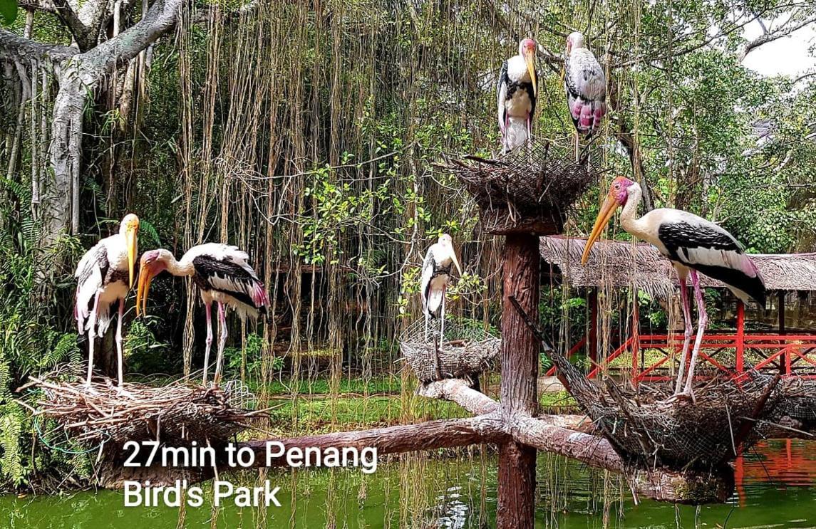 I Do Farmstay Bukit Mertajam Esterno foto