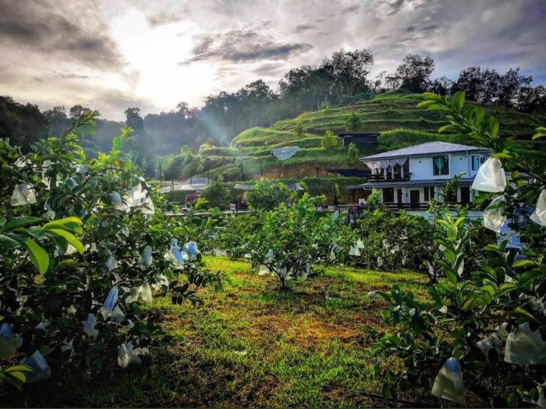 I Do Farmstay Bukit Mertajam Esterno foto